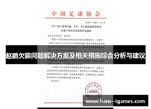 赵鹏欠薪问题解决方案及相关措施综合分析与建议 赵鹏欠薪问题解决方案及相关措施综合分析与建议