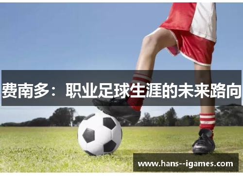 费南多:职业足球生涯的未来路向 费南多:职业足球生涯的未来路向