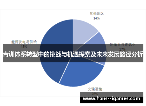 青训体系转型中的挑战与机遇探索及未来发展路径分析