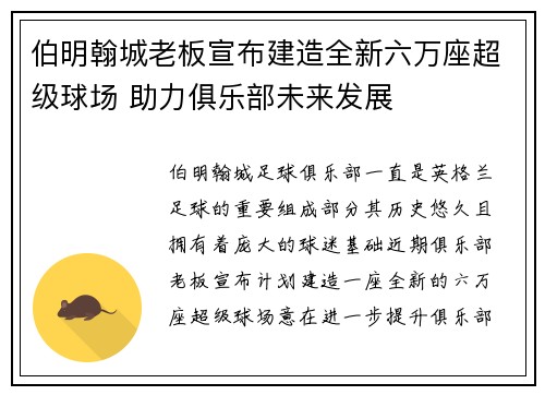 伯明翰城老板宣布建造全新六万座超级球场 助力俱乐部未来发展 伯明翰城老板宣布建造全新六万座超级球场 助力俱乐部未来发展